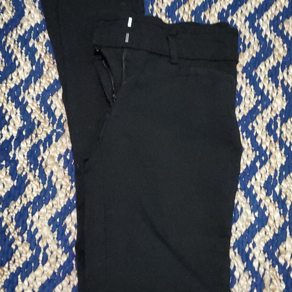 Dressy pants